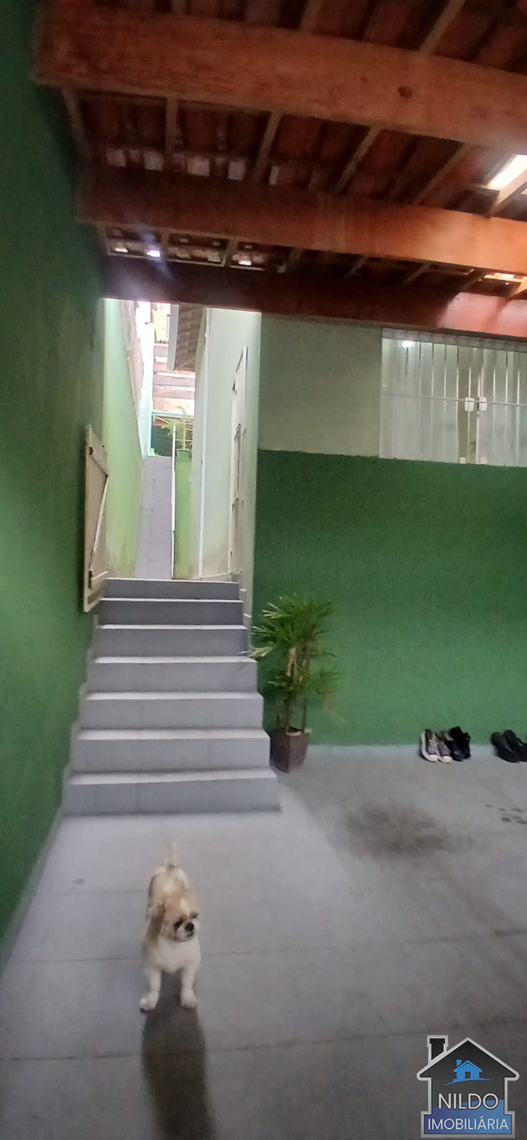 WhatsApp Image 2025-11-04 at 18.01.48 (1)