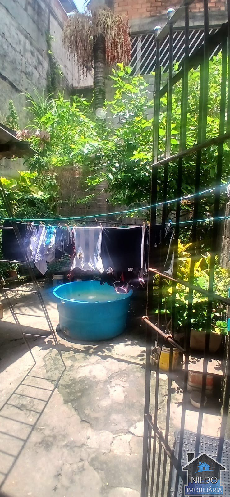 WhatsApp Image 2026-01-29 at 11.31.16