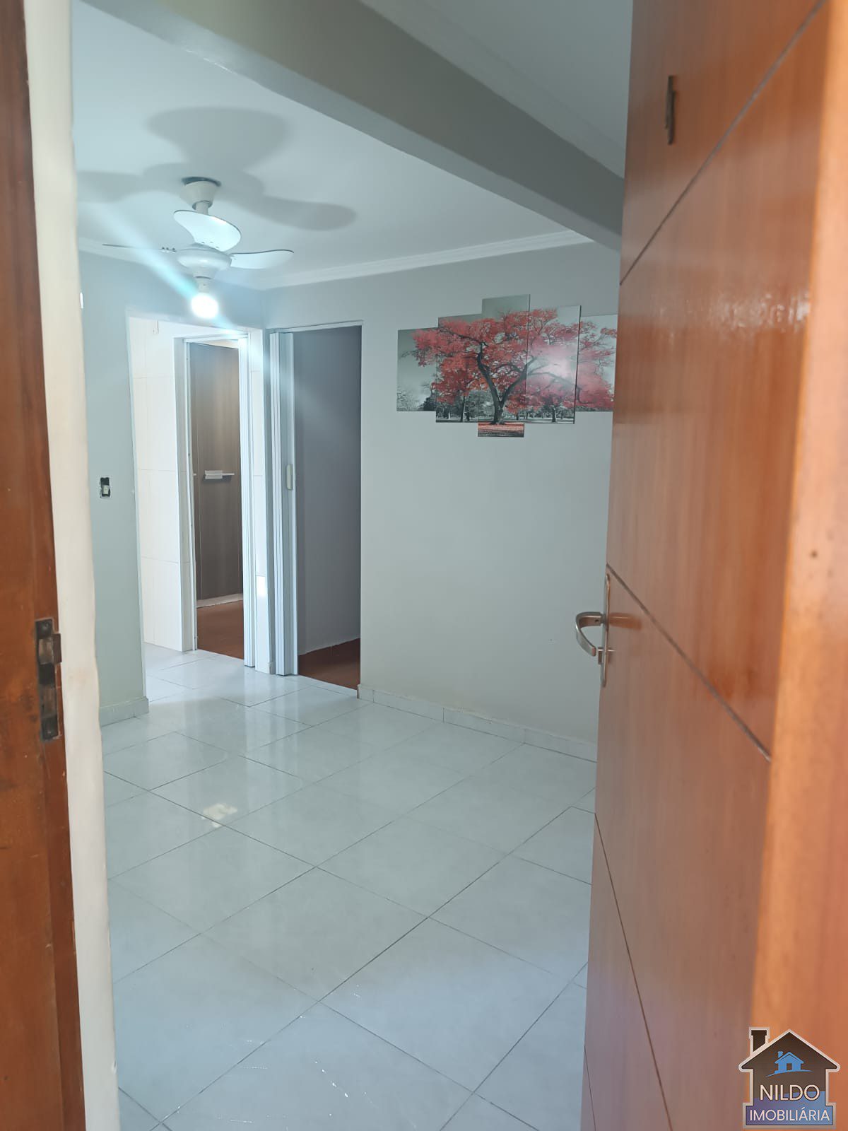 WhatsApp Image 2026-03-29 at 14.53.55 (1)